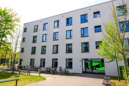 Bigger Bude 3.03.18 - Photo 2