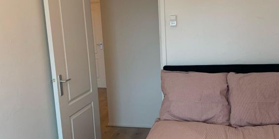 Te huur: Kamer Franselaan in Rotterdam - Foto 3