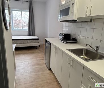 1024, rue sherbrooke, Le Plateau-Mont-Royal à louer - Photo 2