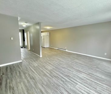 For Lease - 1775 Culver Drive Unit# 214, London East, Ontario - Photo 3