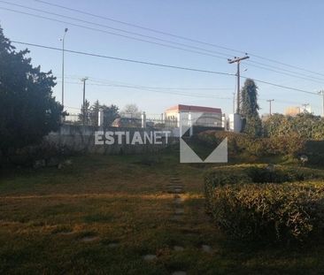 Μονοκατοικία 295 τ.μ. προς ενοικίαση - Photo 4