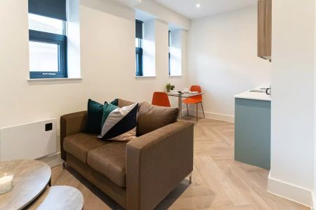 Extra-large 1-Bedroom Apartment - Photo 2