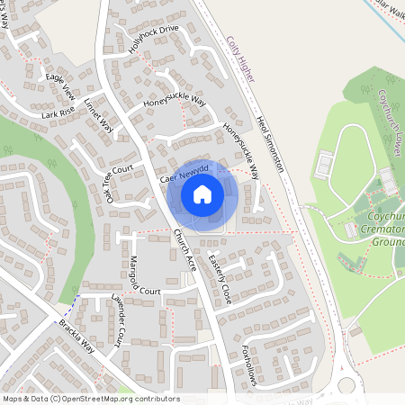 Caer Newydd, Brackla, CF31