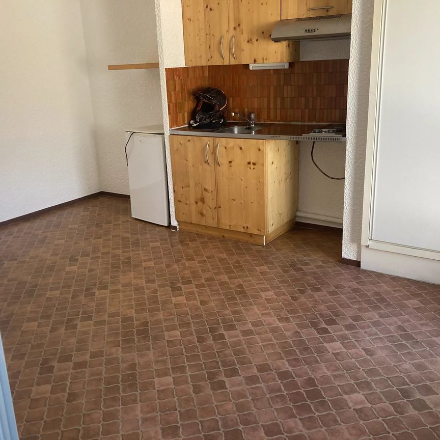 Location Appartement 2 pièces 32m² SALLANCHES 74700 - Photo 1