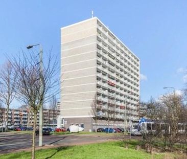 Mozartlaan 0ong, 2555 JA Den Haag, Nederland - Photo 3