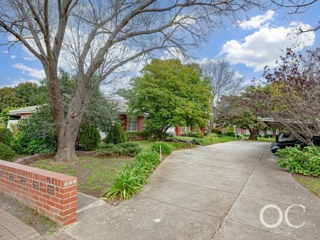 Open the Door To Effortless Living in Leafy Glenunga - Photo 4