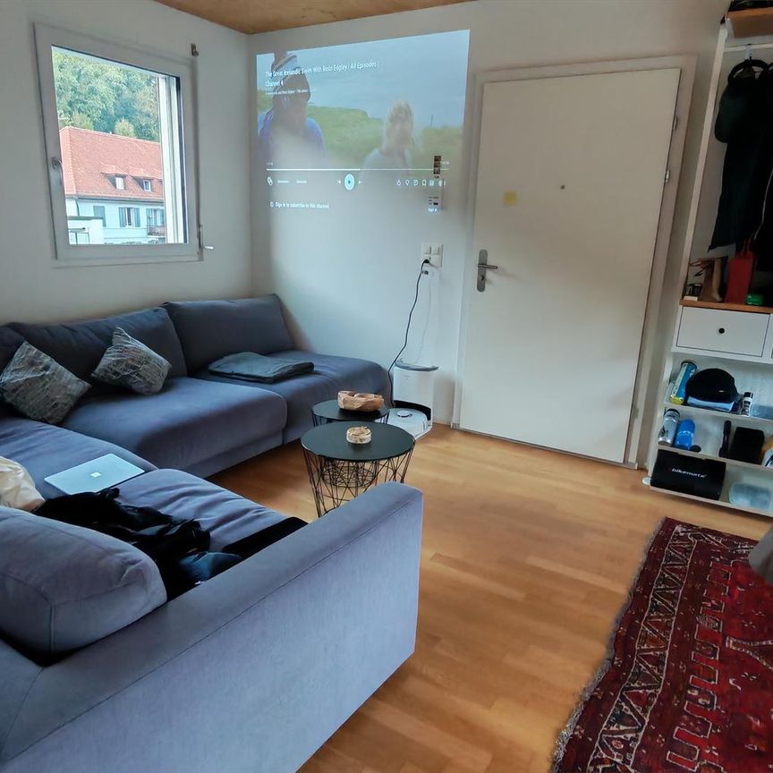 2 Zimmer-Wohnung (möbliert) (Nachmiete / 5 Monate mind. Untermiete) - Photo 1