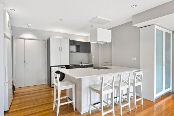 Large Furnished Whole Level Apartment With Huge Courtyard - Photo 1