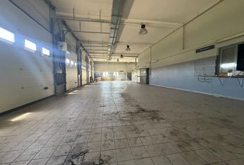 Capannone in affitto