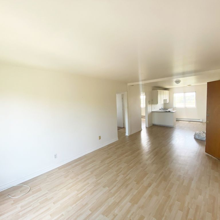 Appt 4 1/2 Avec 5 électros Inclus - Photo 1