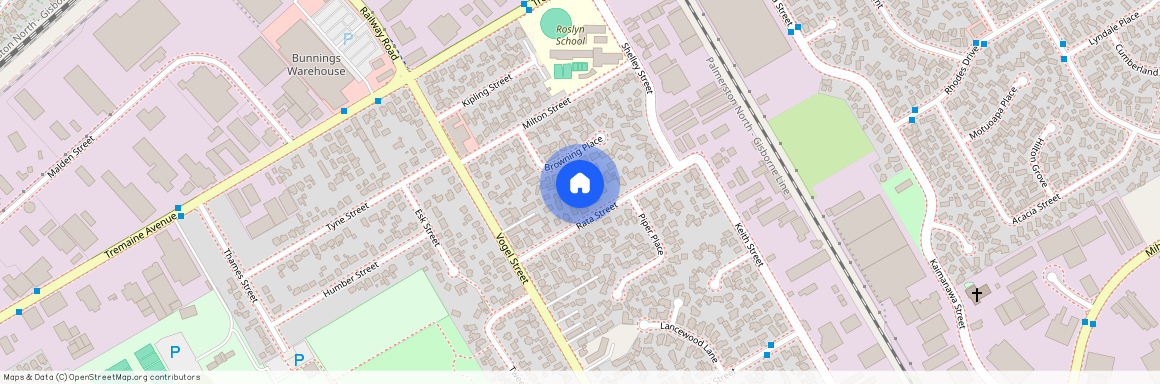 29 Rata Street, Roslyn, Palmerston North City