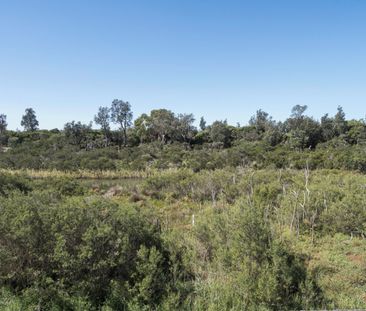 Beach & Creek living- best of both worlds! - Photo 2