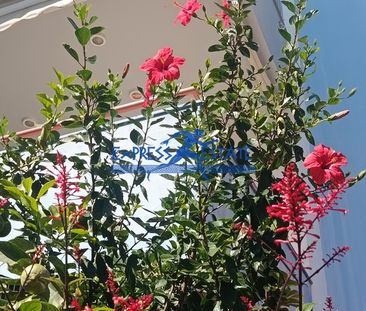 Διαμέρισμα 67 τ.μ. προς ενοικίαση - Photo 6