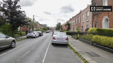 Studio flats to rent in Portobello, Dublin - Photo 4