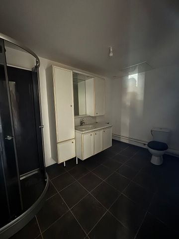 Appartement T2 Bis au RDC - Montceau-les-Mines - Photo 2