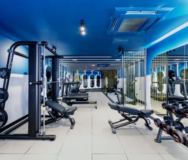 Standard Studio - Photo 3