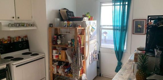2 CH - 1 SDB - Sainte-Anne-de-Bellevue - $1,440 /mo - Photo 2