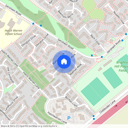 Mathias Walk, Basingstoke, RG22