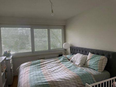 3 Zimmer, 48 m², 2. Stock - Photo 3