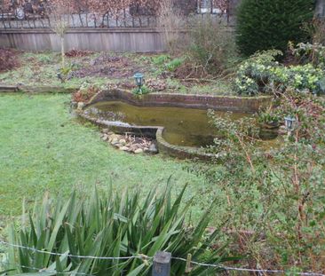 Nieuw - Foto 3