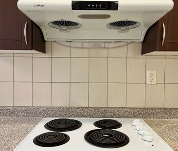 For Lease - 274 Coxwell Avenue Unit# 2, Toronto, Ontario - Photo 3