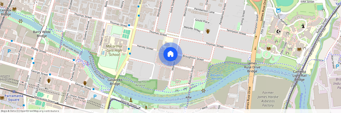 2602/1A Morton Street, NSW 2150, Parramatta