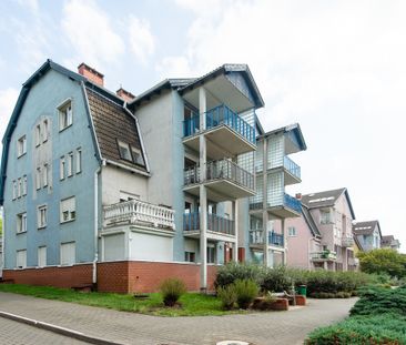 Poznań, ul. św. Rocha - Photo 5