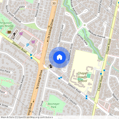 6 Caldecote Place, Flat Bush, Manukau City