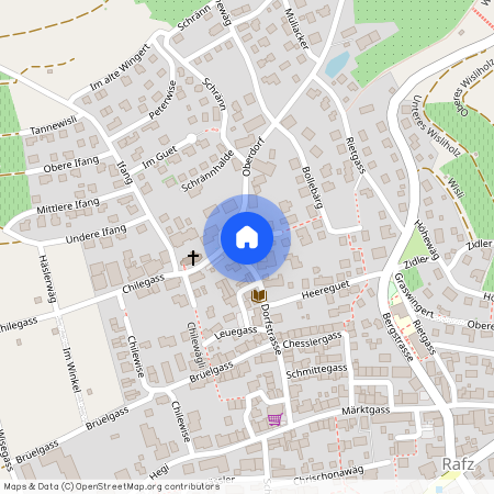 8197, Rafz, Geissewinkel, 1