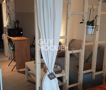 Location Appartement 1 pièce 19m² - Photo 3