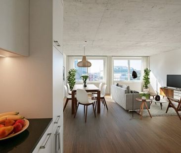 Moderne 2.5 ZWG avec immense terrasse partagée sur le toit - Photo 3