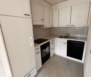 neues Zuhause gesucht? - Foto 2