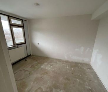 Bovenkruier 38 - Foto 3