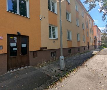 Pronájem bytu 2+1 47 m² - Photo 1