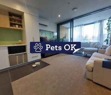 1 Bedroom mordern apartment - Handbag dog or Cat is welcome! - Photo 3