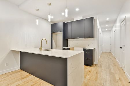 Condo à louer, Montréal (Le Plateau-Mont-Royal) - Photo 2