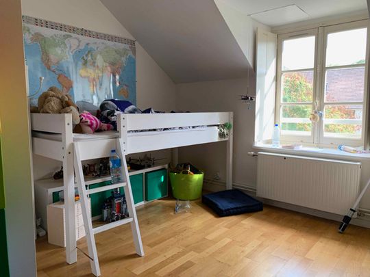 Maison à 15 min de Senlis , - Photo 1