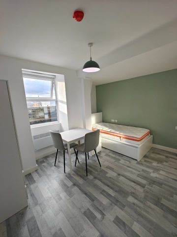 Studio Flat, Tottenham Lane, N8 - Photo 5