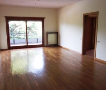 Cassia: Renovated 2 Bedroom, 2 bath, living, terrace, parking, swim... - Photo 5