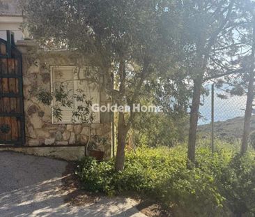 Ενοικίαση, Κατοικία, Μονοκατοικία - Φωτογραφία 4