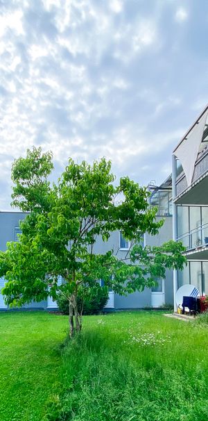 4311 Schwertberg, Haydnstraße 14/20 - Photo 2