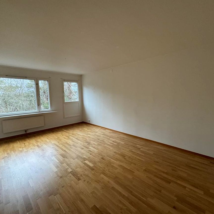 Lars Kaggsgatan 53 – 1 rok (lgh 1201) - Photo 1