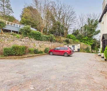 Braddons Hill Road East, Torquay, TQ1 - Photo 4