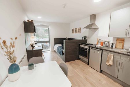 Silver Studio - Photo 4