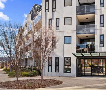 33/11 Kerridge Street, Kingston ACT 2604 - Apartment For Rent | Domain - Photo 5