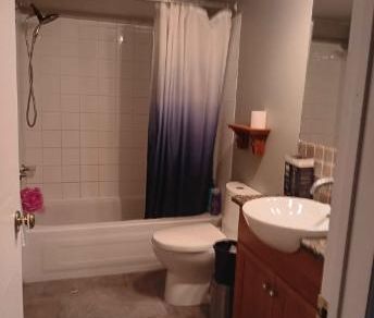 Chambre 1 1/2 acceptant 1 chat - Photo 4