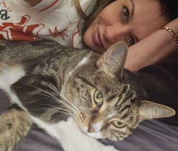 Bridgeman Downs - Photo 4