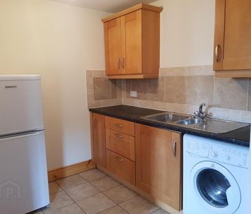Unit 3, 1 Stranmillis Gardens, Belfast, BT9 5AS - Photo 6