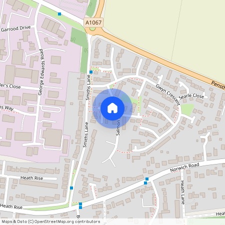 Salmons Way, Fakenham