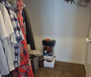 North Lakes - Photo 6